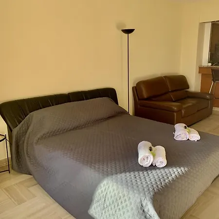 Gray D'albion Pol519 Apartment *